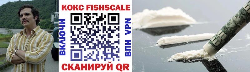 дарнет шоп  Миасс  mega как войти  Кокаин FishScale 