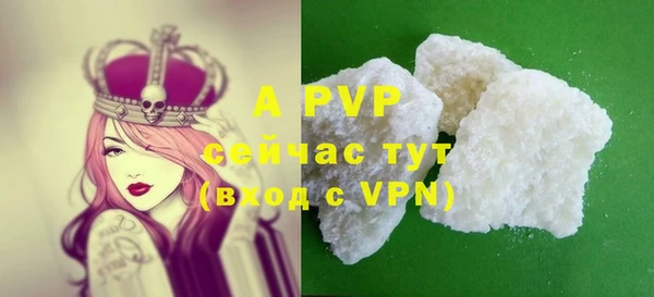 винт Верея