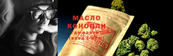 молекула духа Верхний Тагил