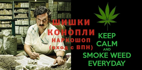 молекула духа Верхний Тагил
